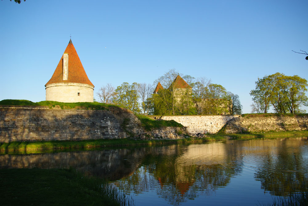 IMGP8499