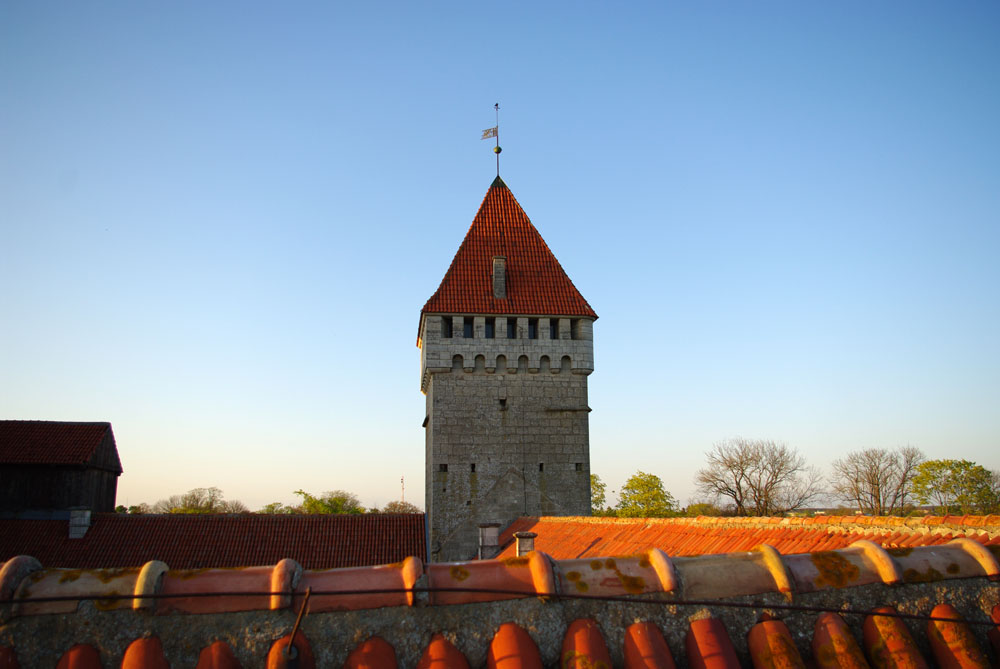 IMGP8531