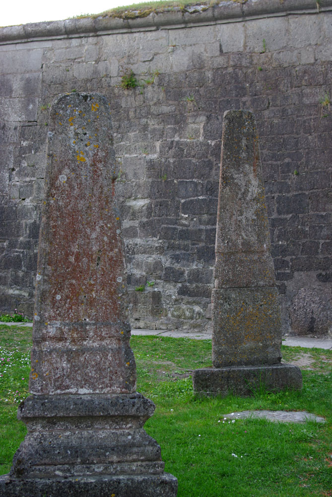 IMGP8548