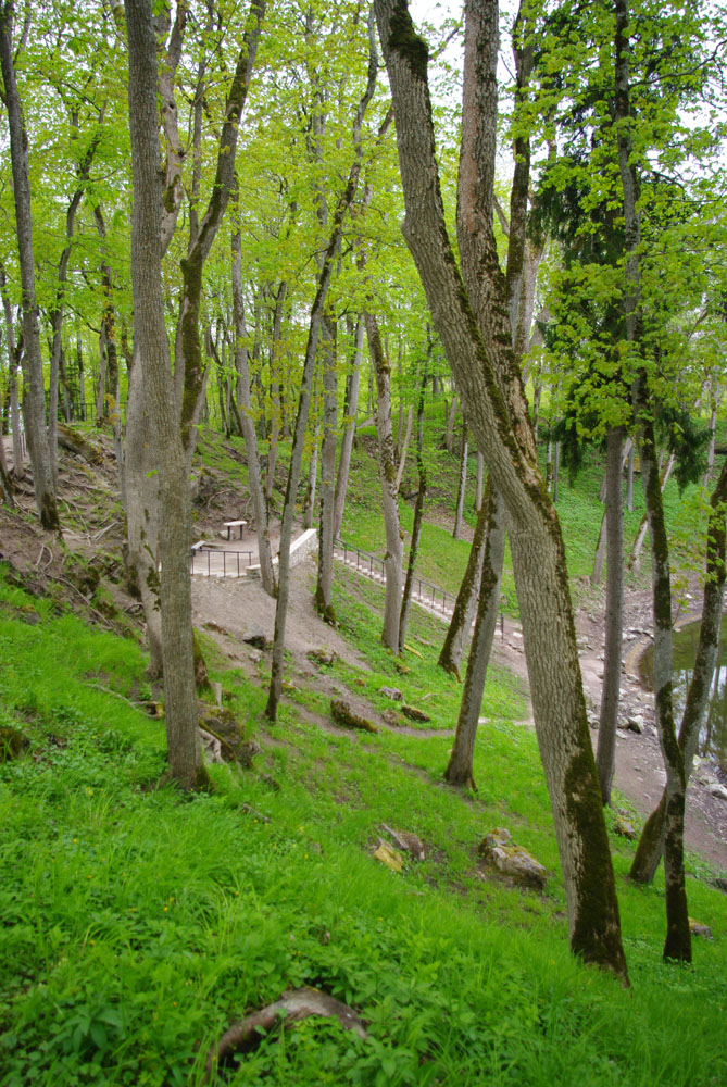 IMGP8646