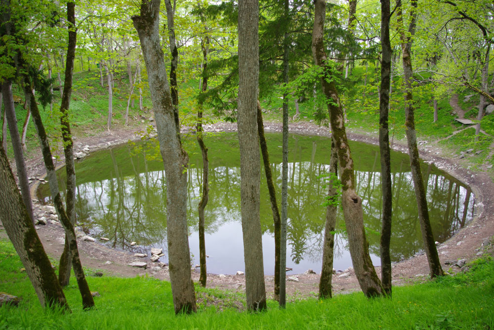 IMGP8651